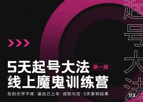 五天起号魔鬼训练营，告别光学不练，逼自己上车，成败与否，5天拿到结果-刀客资源网
