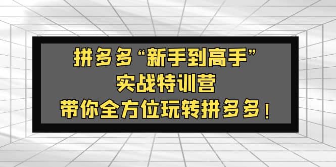 拼多多“小白到高手”实战特训营：带你全方位玩转拼多多-刀客资源网