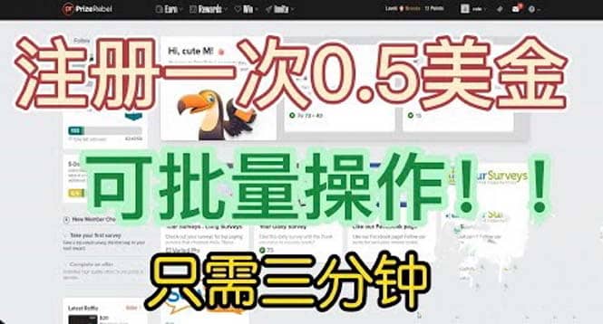 国外项目注册一次0.5美金 只需三分钟无脑操作 可批量放大 小白工作室福利-刀客资源网