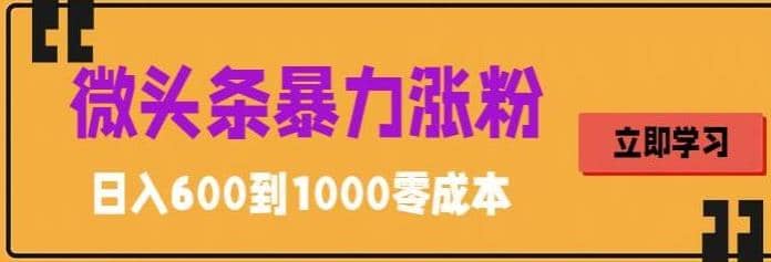 微头条暴力涨粉技巧搬运文案就能涨几万粉丝，简单0成本，日赚600-刀客资源网