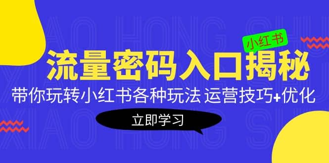 小红书流量密码入口揭秘：带你玩转小红书各种玩法 运营技巧+优化-刀客资源网