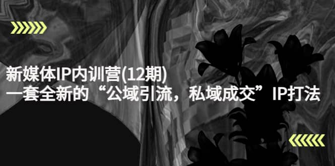 新媒体IP内训营(12期)，一套全新的“公域引流，私域成交”IP打法，直接带走-刀客资源网