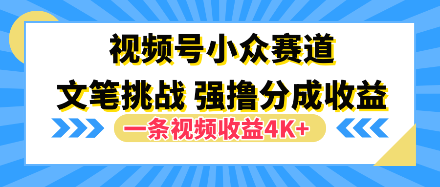 视频号小众赛道，文笔挑战，一条视频收益4K+-刀客资源网