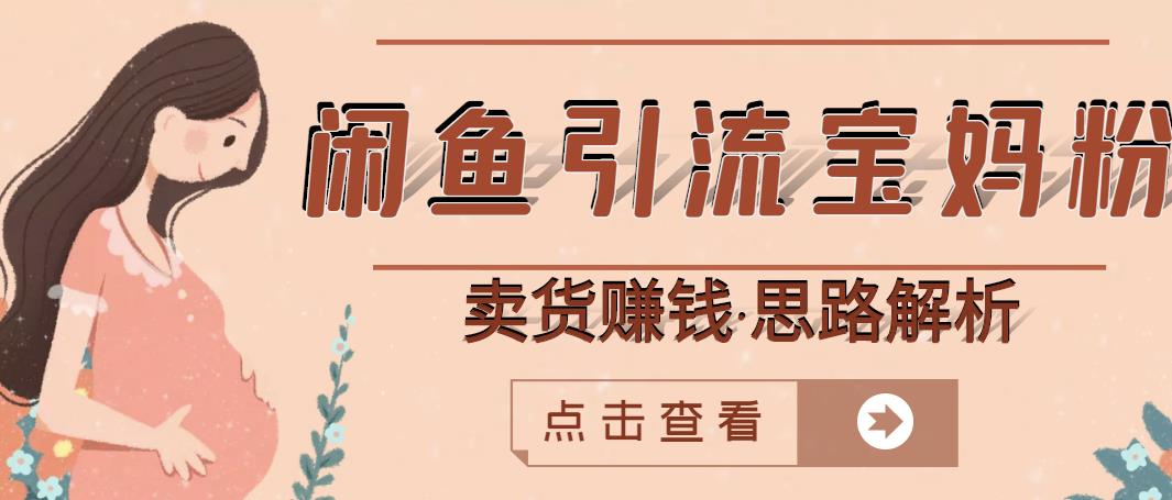 闲鱼引流宝妈粉+卖货赚钱一个月收益30000+（实操视频教程）-刀客资源网