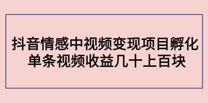 抖音情感中视频变现项目孵化-刀客资源网