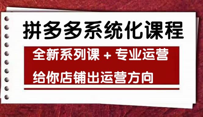 车神陪跑，拼多多系统化课程，全新系列课+专业运营给你店铺出运营方向-刀客资源网