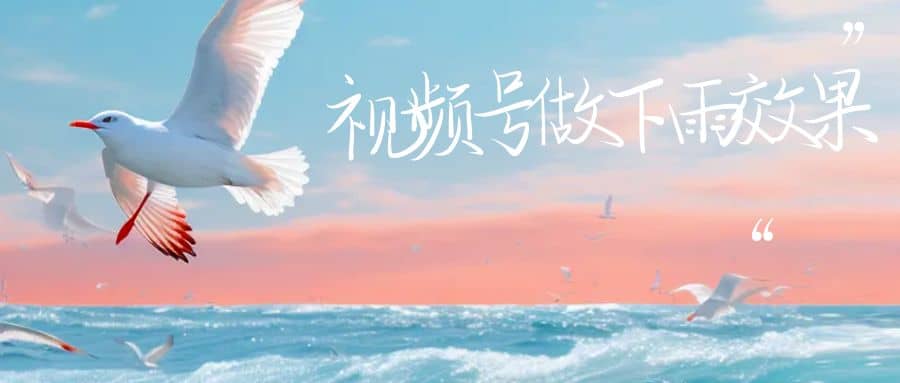 视频号做下雨视频一个账号一周涨粉10W+年入100w-刀客资源网