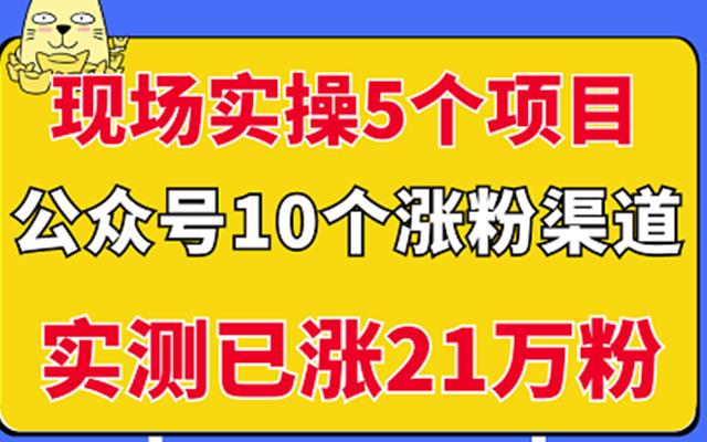 现场实操5个公众号项目，10个涨粉渠道，实测已涨21万粉！-刀客资源网