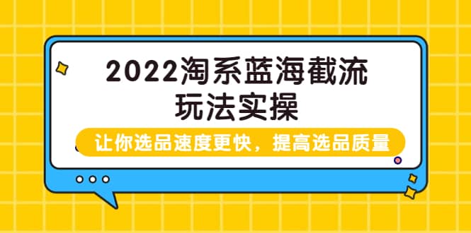 2022淘系蓝海截流玩法实操：让你选品速度更快，提高选品质量（价值599）-刀客资源网