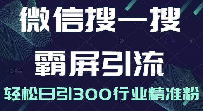 微信搜一搜霸屏引流课，打造被动精准引流系统，轻松日引300行业精准粉【无水印】-刀客资源网