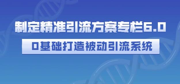 制定精准引流方案专栏6.0，0基础打造被动引流系统-刀客资源网