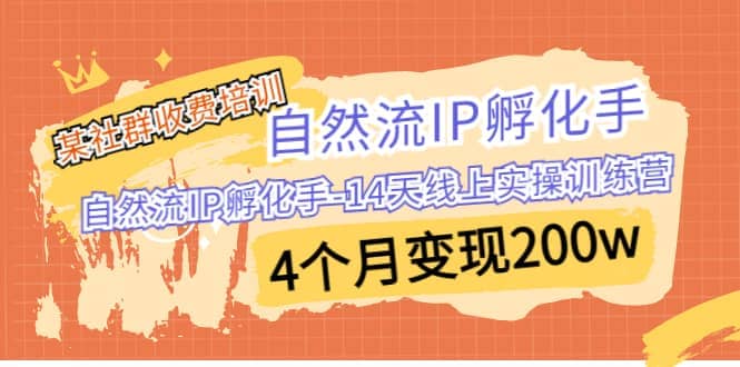某社群收费培训：自然流IP 孵化手-14天线上实操训练营 4个月变现200w-刀客资源网