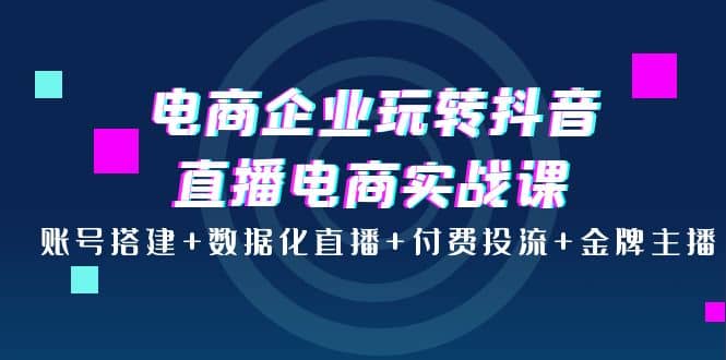 电商企业玩转抖音直播电商实战课：账号搭建+数据化直播+付费投流+金牌主播-刀客资源网