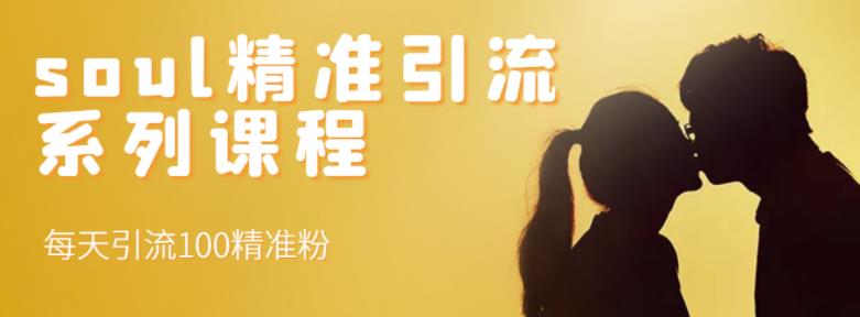 soul精准引流系列课程，每天引流100精准粉-刀客资源网