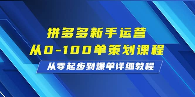 拼多多小白运营从0-100单策划课程，从零起步到爆单详细教程-刀客资源网