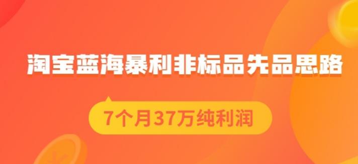 盗坤淘宝蓝海暴利非标品先品思路，7个月37万纯利润，压箱干货分享！【付费文章】-刀客资源网