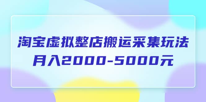 淘宝虚拟整店搬运采集玩法分享课：月入2000-5000元（5节课）-刀客资源网