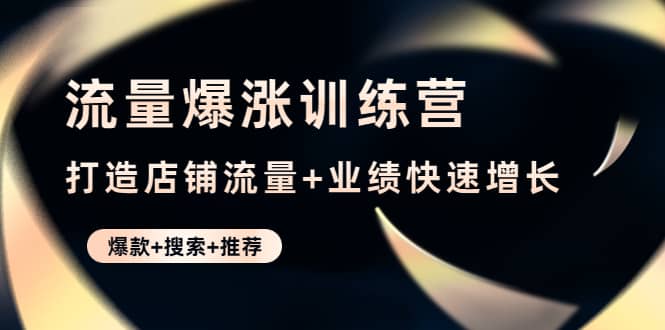 流量爆涨训练营：打造店铺流量+业绩快速增长 (爆款+搜索+推荐)-刀客资源网