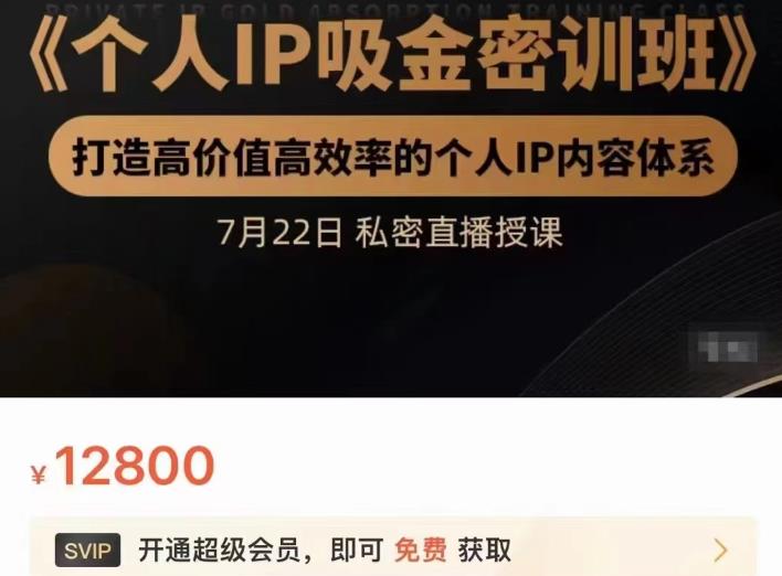 个人IP吸金密训班，打造高价值高效率的个人IP内容体系（价值12800元）-刀客资源网