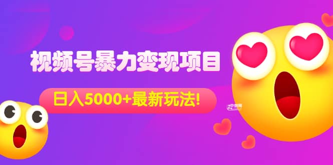 外面收费699的视频号暴力变现项目，日入5000+，简单易操作当天见效果-刀客资源网