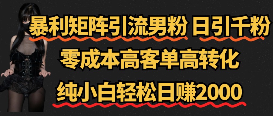 暴利矩阵引流男粉（日引千粉），零成本高客单高转化，纯小白轻松日赚2000+-刀客资源网