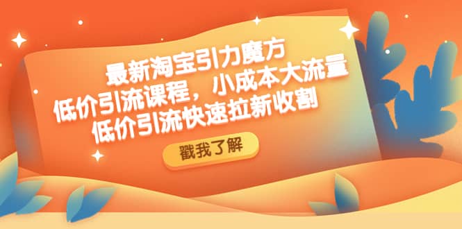最新淘宝引力魔方低价引流实操：小成本大流量-刀客资源网