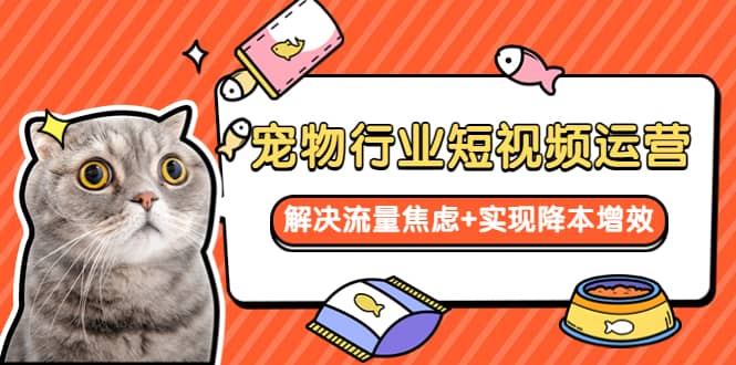宠物/行业短视频运营 流量增长的一层窗户纸 解决流量焦虑+实现降本增效-刀客资源网
