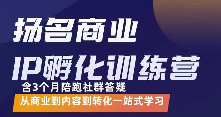 杨名商业IP孵化训练营，从商业到内容到转化一站式学 价值5980元-刀客资源网