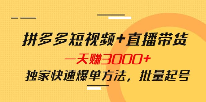 拼多多短视频+直播带货，一天赚3000+独家快速爆单方法，批量起号-刀客资源网