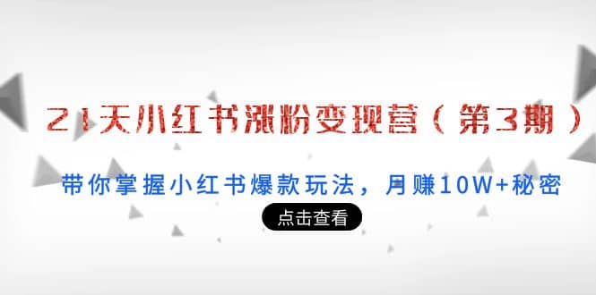 21天小红书涨粉变现营（第3期）：带你掌握小红书爆款玩法，月赚10W+秘密-刀客资源网