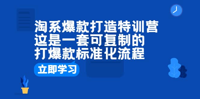 淘系爆款打造特训营：这是一套可复制的打爆款标准化流程-刀客资源网
