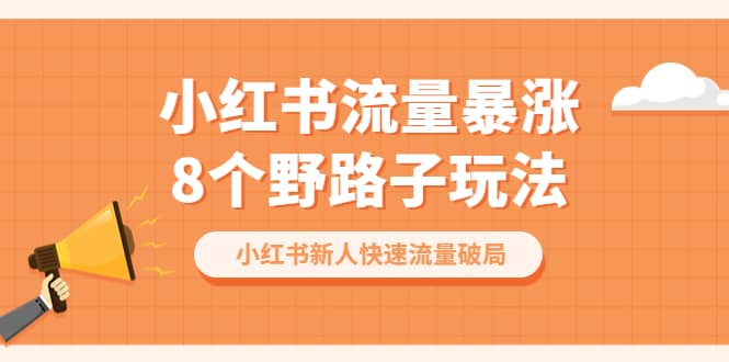 小红书流量-暴涨8个野路子玩法：小红书新人快速流量破局（8节课）-刀客资源网