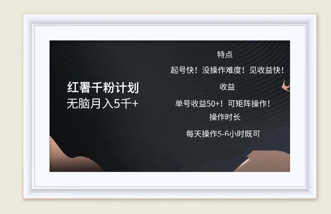 红薯千粉计划无脑月入5千➕！既做既赚！-刀客资源网