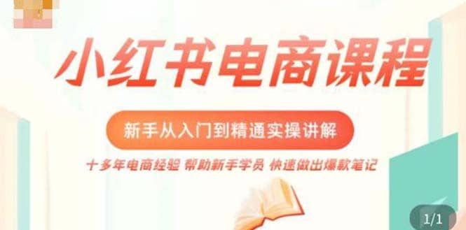小红书电商小白入门到精通实操课，从入门到精通做爆款笔记，开店运营-刀客资源网