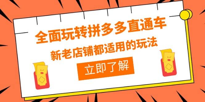 全面玩转拼多多直通车，新老店铺都适用的玩法（12节精华课）-刀客资源网