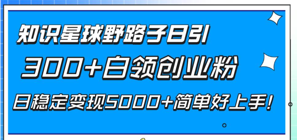 知识星球野路子日引300+白领创业粉，日稳定变现5000+简单好上手！-刀客资源网