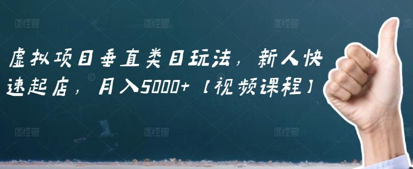 虚拟项目垂直类目玩法，新人快速起店，月入5000+【视频课程】-刀客资源网