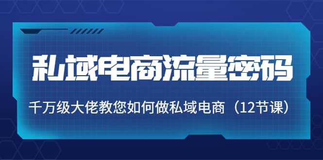 私域电商流量密码：千万级大佬教您如何做私域电商（12节课）-刀客资源网