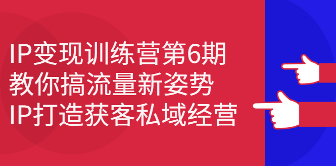 IP变现训练营第6期：教你搞流量新姿势，IP打造获客私域经营-刀客资源网