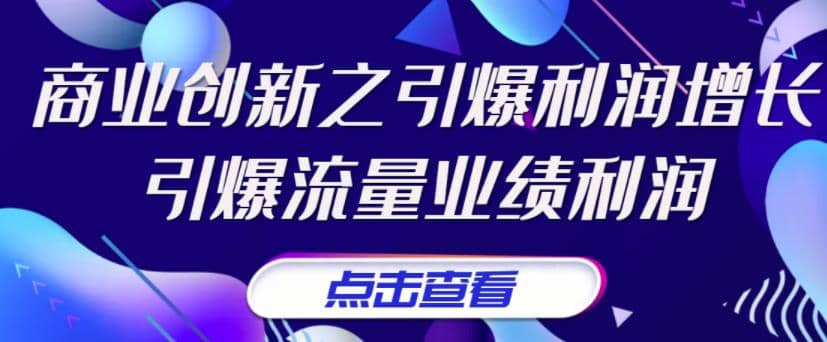 《商业创新之引爆利润增长》引爆流量业绩利润-刀客资源网
