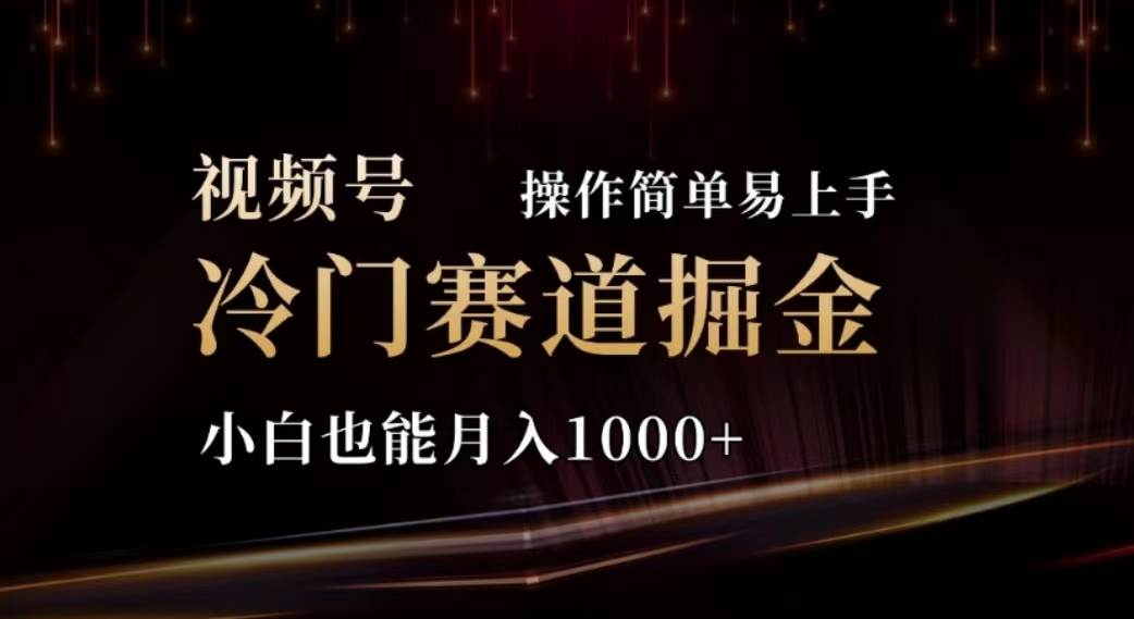 2024视频号冷门赛道掘金，操作简单轻松上手，小白也能月入1000+-刀客资源网