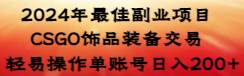 2024年最佳副业项目 CSGO饰品装备交易 轻易操作单账号日入200+-刀客资源网
