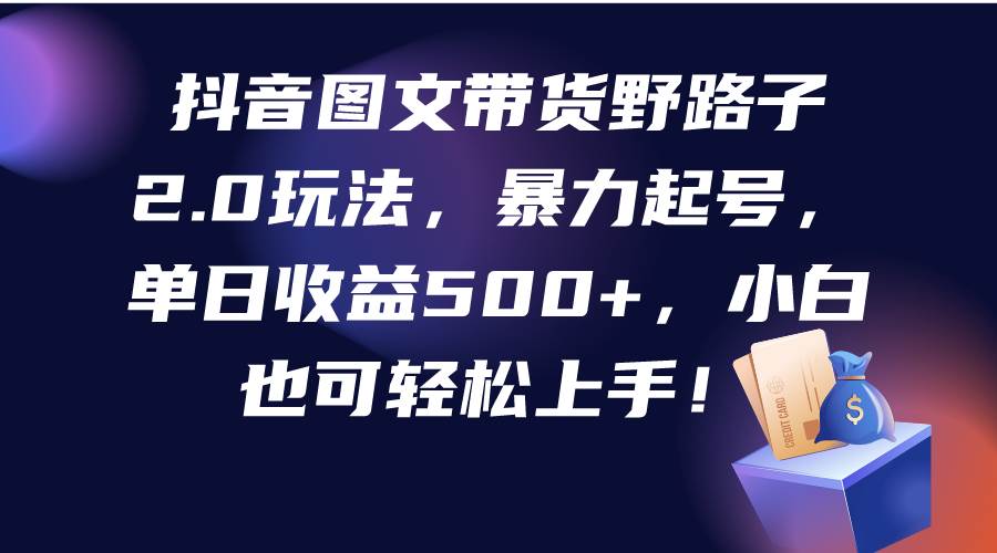 抖音图文带货野路子2.0玩法，暴力起号，单日收益500+，小白也可轻松上手！-刀客资源网