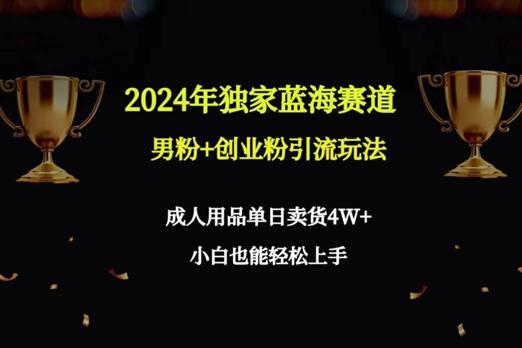 2024年独家蓝海赛道男粉+创业粉引流玩法，成人用品单日卖货4W+保姆教程-刀客资源网