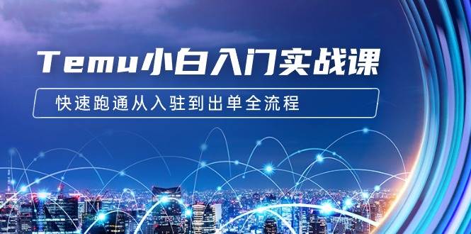 Temu小白入门实战课：跨境拼多多电商培训 快速跑通从入驻到出单全流程-12节-刀客资源网