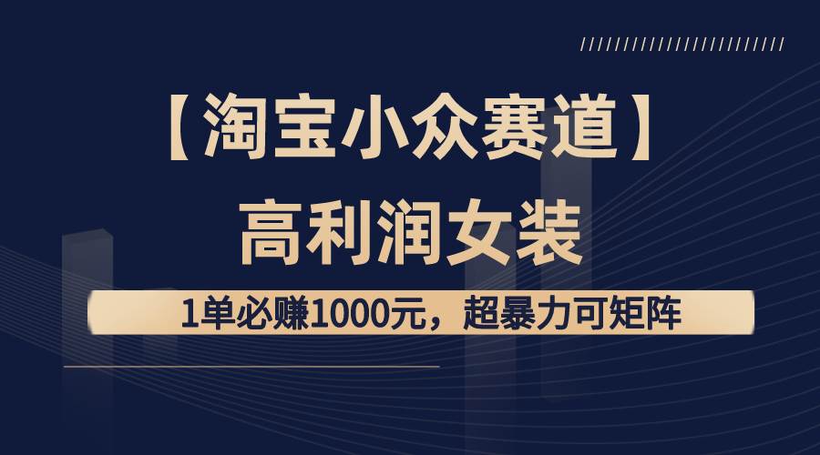 【淘宝小众赛道】高利润女装：1单必赚1000元，超暴力可矩阵-刀客资源网
