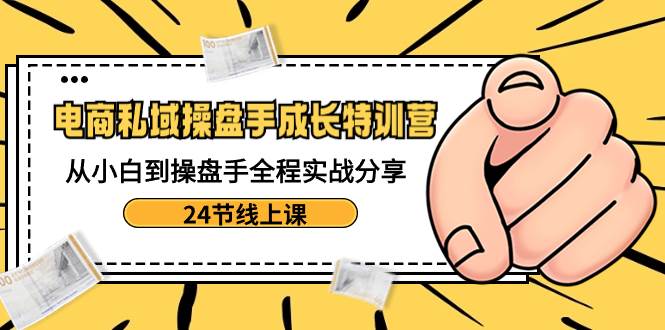 电商私域-操盘手成长特训营：从小白到操盘手全程实战分享-24节线上课-刀客资源网