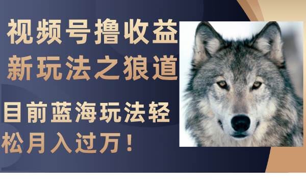 视频号撸收益新玩法之狼道，目前蓝海玩法轻松月入过万！-刀客资源网