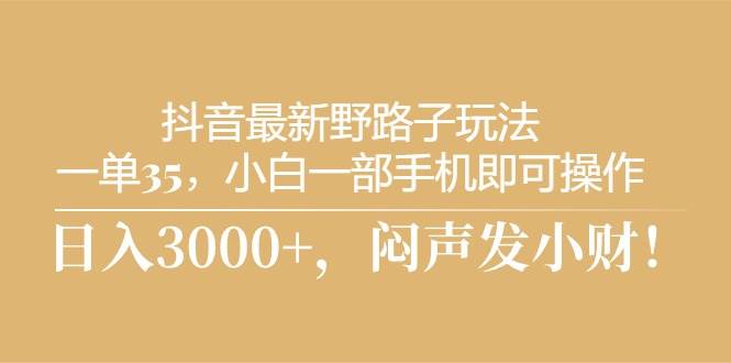 抖音最新野路子玩法，一单35，小白一部手机即可操作，，日入3000+，闷…-刀客资源网