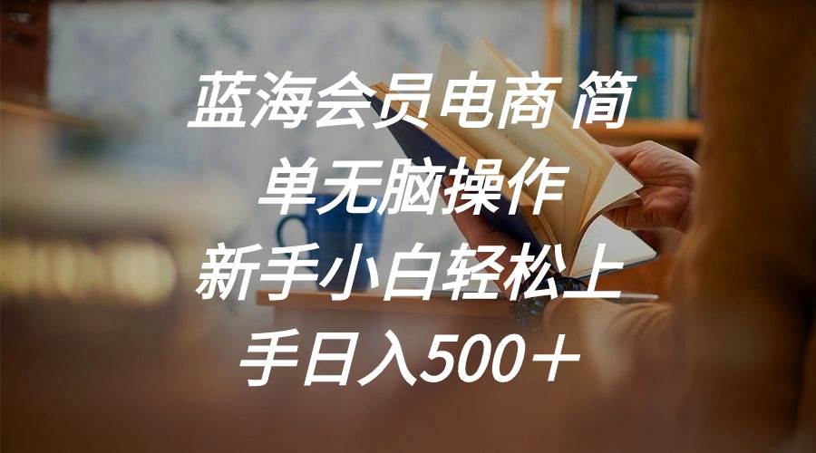 蓝海会员电商 简单无脑操作 小白小白轻松上手日入500＋-刀客资源网
